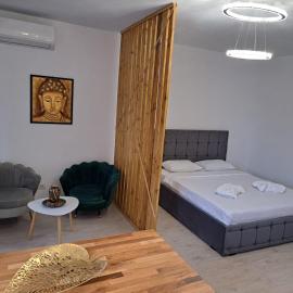 Luxury Studio Pipera