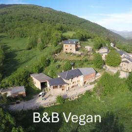 Cal Calau vegà, hotel in Planoles