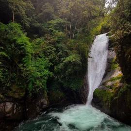 Cloudbridge Nature Reserve, hotel in Herradura