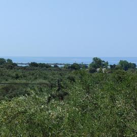 Sea view accommodation close to Halikounas beach