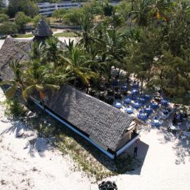 The New Big Tree Beach Resort