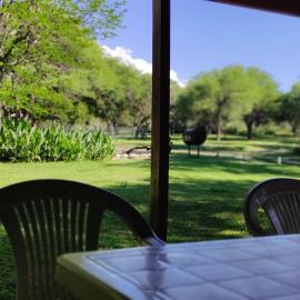 Cabañas La Morada