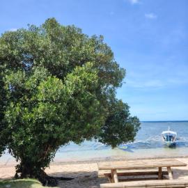 Ocam Ocam Sea Front Cottages