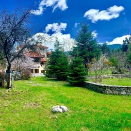 Pine Lodge by Ski Alure, hotel sa Arachova