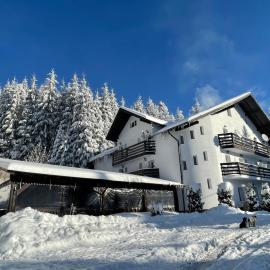 Pensiunea Silvania, hotell sihtkohas Statjunea Borsa
