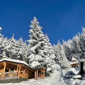 Cabanele Silvania, hotel u gradu Borsa