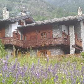 GUEST HOUSE SOPHIE - Chambres d'Hotes -CIR 0196