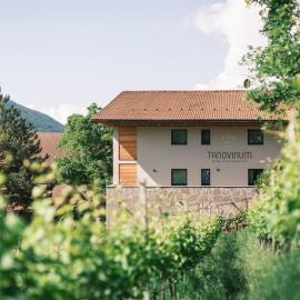 TANOVINUM Apartments, hotel di Villandro