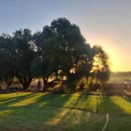 Mount Gerizim Farm, hôtel à Louisvale