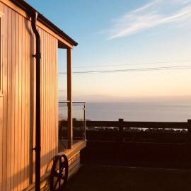 Little Oak