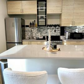 Contemporary Downtown Condo