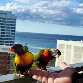 Top of The Mark- Top Floor Apartment, Parking & Wifi, hotel in Surfers Paradise