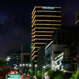 서울에 위치한 호텔 Eliena Hotel Seoul Gangnam