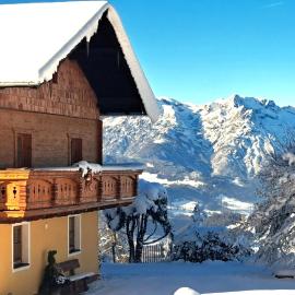 Panorama Chalet Höllmaishof