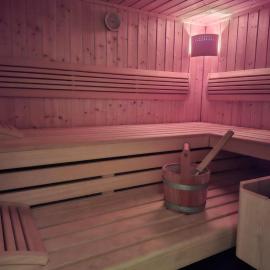 Studio avec sauna privé, hotel u gradu 'Châtel-Saint-Denis'