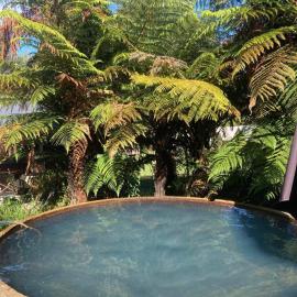 Cottage and geothermal pool by lake Taupo