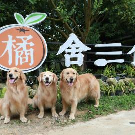 橘舍三食OrangeFarmerlife, hotel u gradu Miaoli