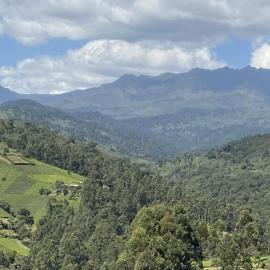 Ranges View Lodge - Aberdare Safari in Murang'a, hotel di Kiamuturi