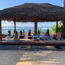 Tahini and Friends Surf, Yoga & Wellness