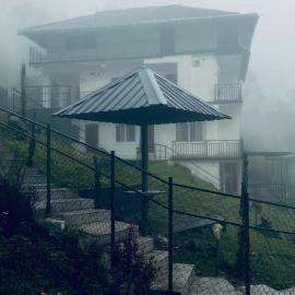 Misty Cloud