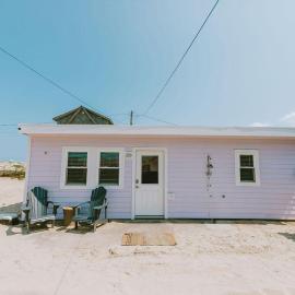 NH337D Coastal Dunes 4