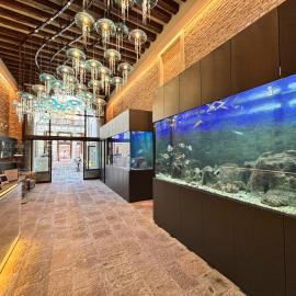 Hotel Aquarius Venice - Ascend Collection