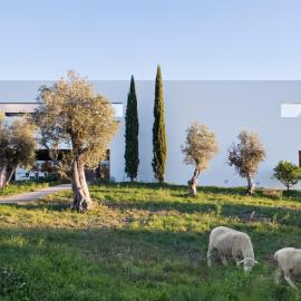 Villa Extramuros, hotel in Arraiolos
