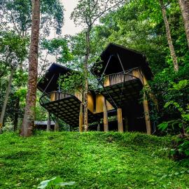 Song Of The Trees Jungle Experience Stay Kutitkanam by LexStays