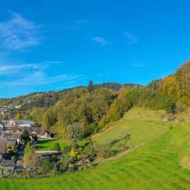 Ferienwohnungen im Renchtal, hotel in Oppenau