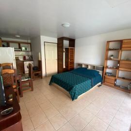 Studio de standing avec jardin - Hibiscus, hotel Cayenne-ben