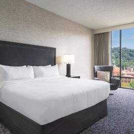 Renaissance Asheville Downtown Hotel, hotel Asheville-ben