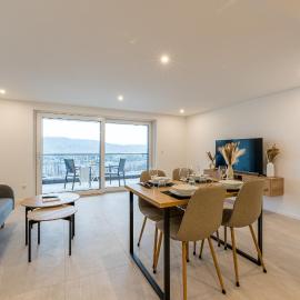 Rheinblick Apartment 1