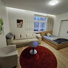 Kauno apartamentai big room king size bed