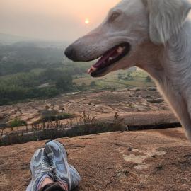 Cocogreen Hampi