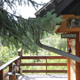 ArdenParks PetiteSuisse Chalet Renardeau, hotel i Manhay