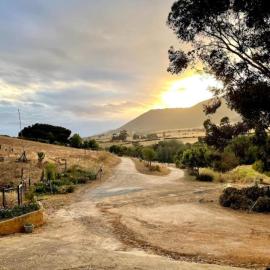 Swaynekloof Farm, hotel in Botrivier