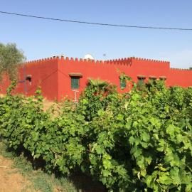 premium farmhouse with pool Rabat