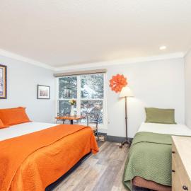 Mountainside Inn 103 by Alpine Lodging Telluride, ξενοδοχείο σε Telluride