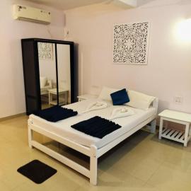 pink studio 300mtrs from morjim beach, hotel en Pernem