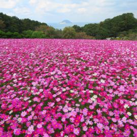 Nokoshima Island Park Villa Sakimori, hotel u gradu Fukuoka