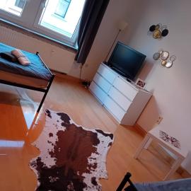 Monteur Apartments 7, hotel a Werdau