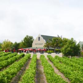 Skilpadvlei Wine Farm, Hotel in Stellenbosch