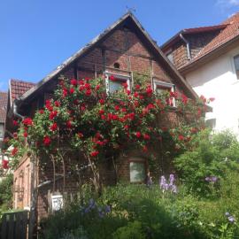 Pretty half-timbered cottage on romantic yard, hotel a Fuldabrück