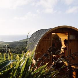 Barrique Studio with Sauna at Barrelled Wines Raglan