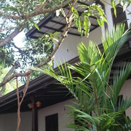 VIHANSHA Guesthouse