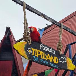 Tipiland baru la casa del mono