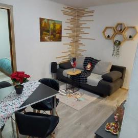 Refugiu Alpin Borsec, hotel a Borsec