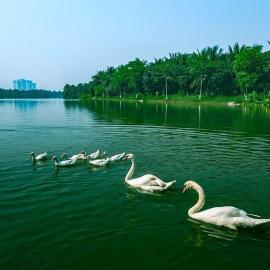 Đã đóng cửa, Hotel in Cong Luận