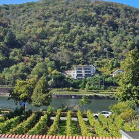 Hakans moselblick Ferienwohnung 2, hotel in Treis-Karden