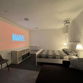 Private cinema studio guest house with garden, hotel in Brentwood